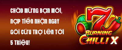 Hoàn Trả Hàng Ngày Không Giới Hạn